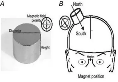 Figura 4. El imán y su posición. A) imán, B) ilustración esquemática de la posición del imán sobre la  representación cortical de la mano (hot spot)