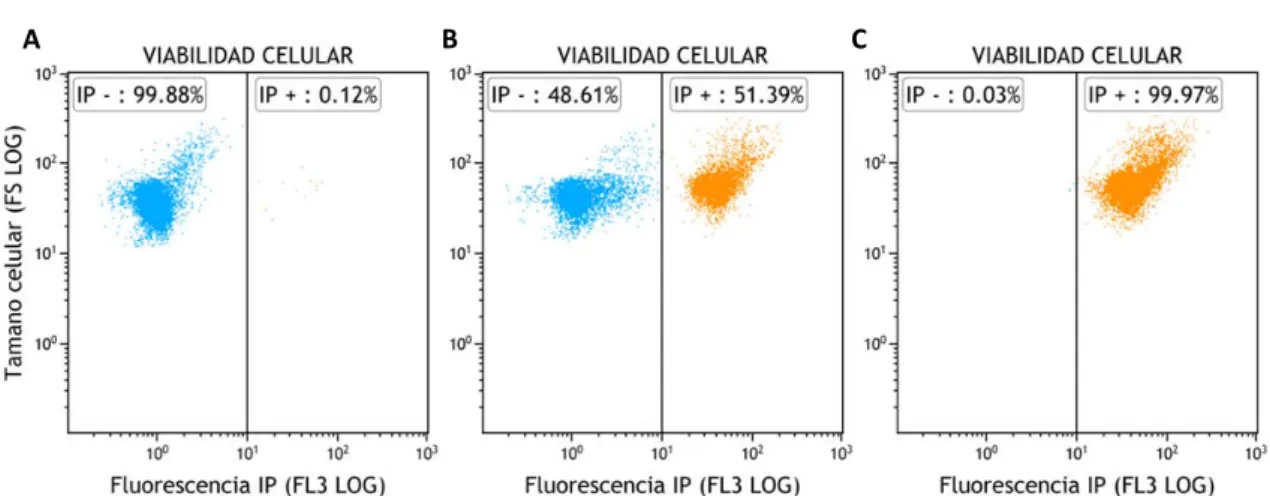 Figura  3.  Validación  del  método  de  análisis  de  viabilidad  de  células  de  T.  suecica  mediante  CMF  utilizando  IP.  Los  citogramas  muestran  los  porcentajes  de  células  viables  (IP‐)  y  no  viables  (IP+)  correspondientes a  mezclas de