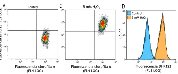 Figura  6.  Validación  del  método  de  determinación  de  peróxido  de  hidrógeno  intracelular  en  T.  suecica  mediante CMF utilizando DHR 123. Se representan los citogramas biparamétricos correspondientes a un  cultivo control (A), a un cultivo expue