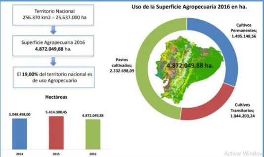 Figura 1-1:    Superficie total y superficie agropecuaria 