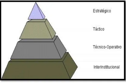 Figura 1.3: División de los SI. 