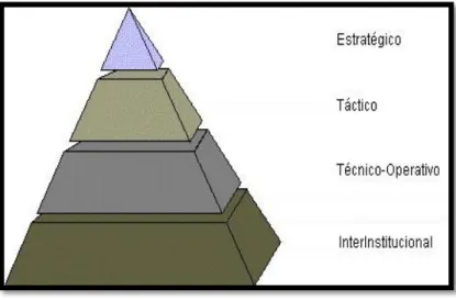 Figura 1.3: División de los SI. 