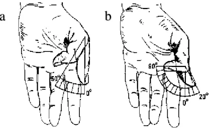 Figura 13-1: Flexión y extensión del pulgar  