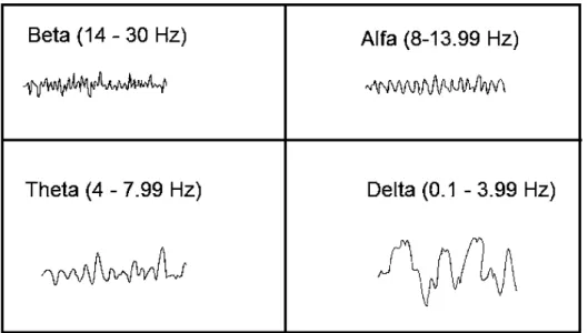 Figura 19-1: Tipos de ondas cerebrales 