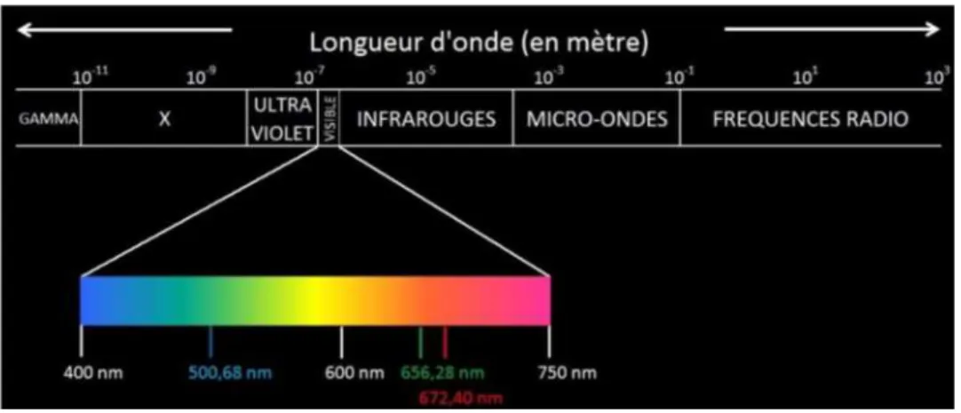 Figura 10-1: Espectro visible 