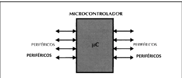 Fig I.02. Gráfica de un Microcontrolador 