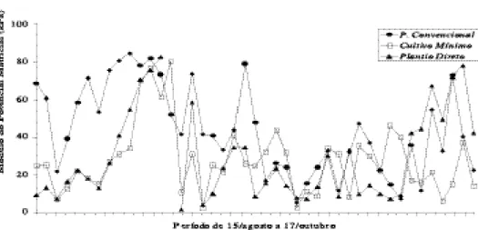 Figura 3. Potencial matricial na profundidade de 0,20 m, no período de 15 de agosto a 17 de outu- outu-bro de 1994, para os tratamentos com os sistemas de preparo do solo, durante o ciclo do feijão.