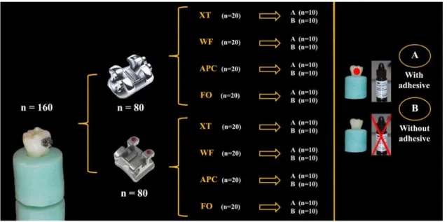 Figure 1. Schematic of the different groups and subgroups used in the study. The sample was divided into 2 groups: 40 brackets and  40 tubes, and both groups were divided into four subgroups depending on the cement used