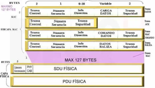 Figura III.4.  Formato de Tramas.
