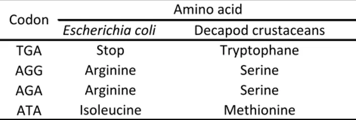 Table 4. Modifications performed in mitochondrial  genetic code