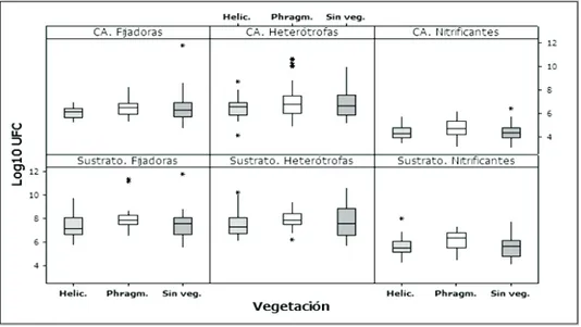 Figura 3.  Distribución de Bacterias en el Humedal control. CA: Columna de Agua. En el eje x se muestran los 