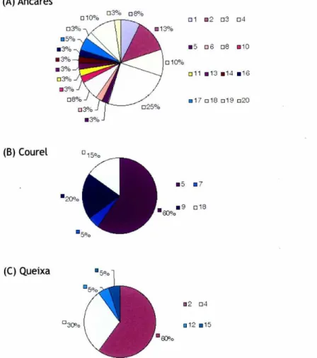 Figure 2. The distribution of the 20 haplotypes defined by the combination of 352-356 bp from control region (CR) and 786 bp from cytochrome-oxidase-I (COI) in the three studied NW Iberian populations of Erebia palarica.
