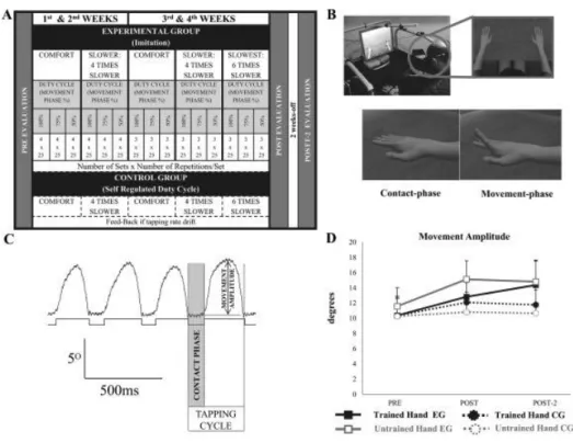 Fig. 1. Details of methods and results on hypometria. (A) Intervention protocol and evaluations times for the  EG and the CG