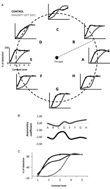 Figure 2. The effect of SMS increases with time. (A) Effect of a static magnetic field on the left visual cortex of the primate for 60  min on visual detection