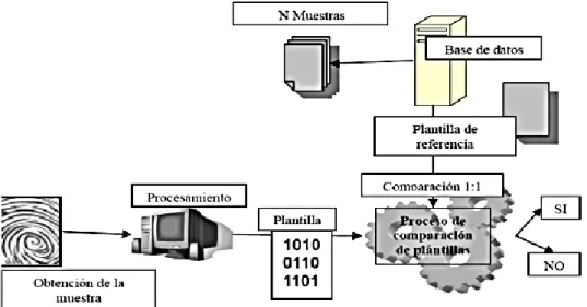 Figura 6-1: Esquema de funcionamiento del control dactilar 