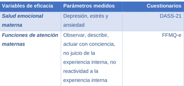 Tabla 4. Variables de eficacia 