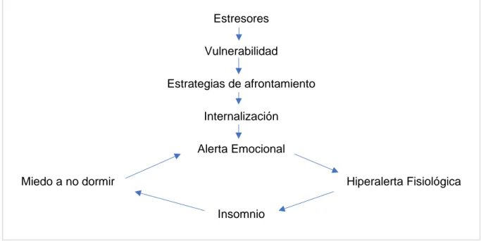 Figura III. Hipótesis de la internalización. 