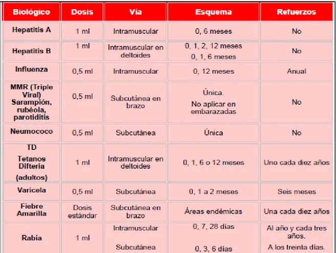 TABLA 1 Protocolos de inmunización recomendadas para personal de salud. 