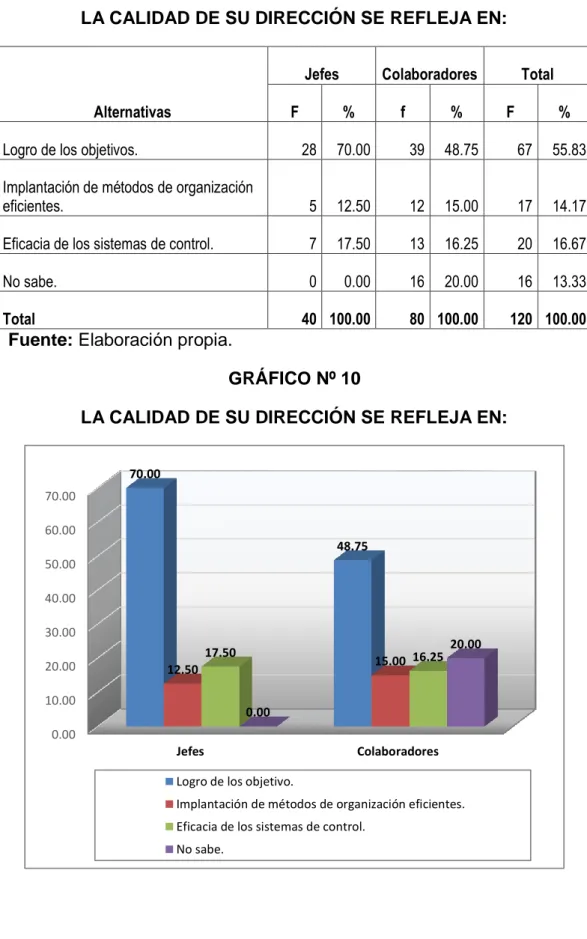 GRÁFICO Nº 10 