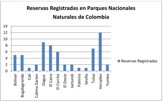 Gráfico 1: RNSC registradas por municipio. 