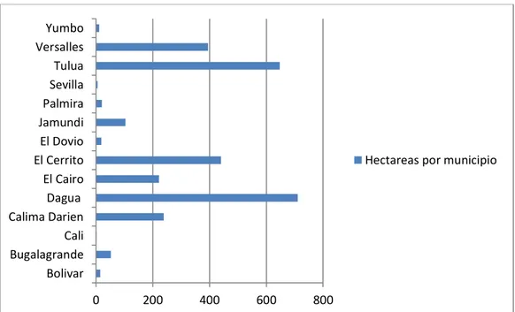 Gráfico 2. Número de hectáreas de conservación privada (RNSC) en cada municipio. 