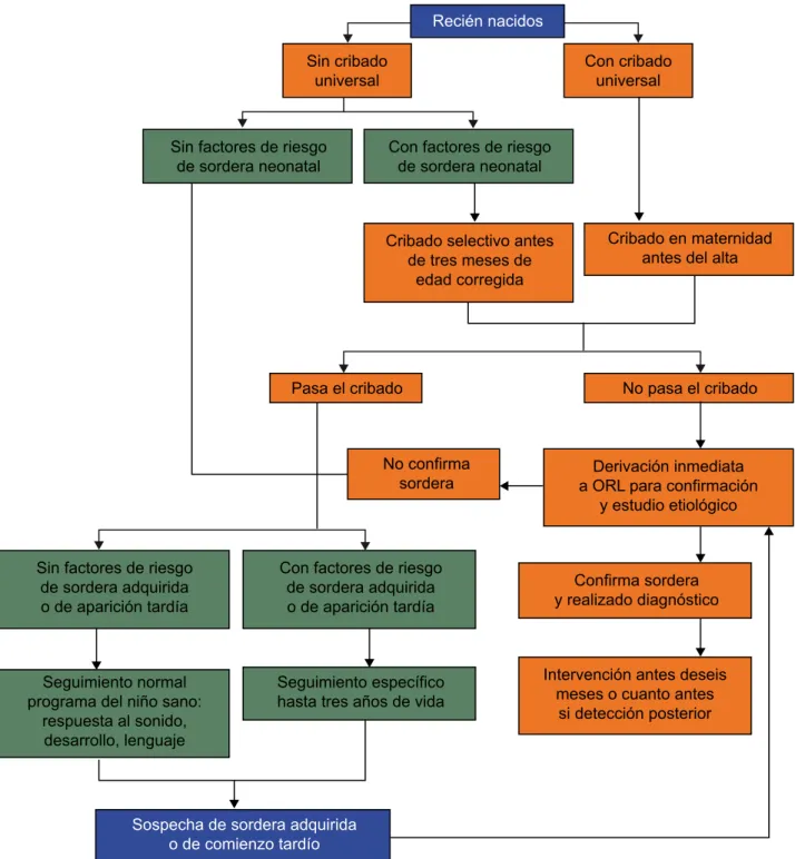 Figura 6. Diagrama de flujo del programa de detección precoz de sordera infantil