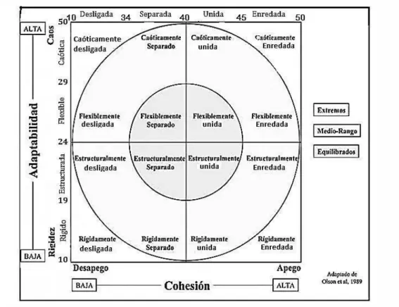 Fig. 01 Modelo Circumplejo de Olson: 16 tipos de sistemas familiares y maritales. 