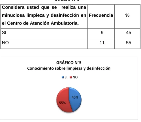 GRÁFICO N°5