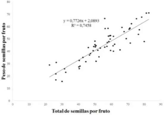 Figura 2. Efecto de diferentes variedades de chi- chi-rimoya en el n´ umero de semillas da˜ nadas por T.