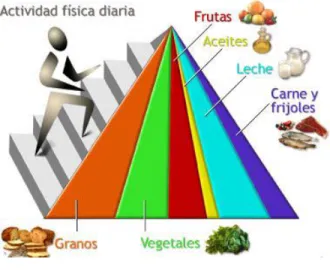 Gráfico N. 1  Pirámide Nutricional 