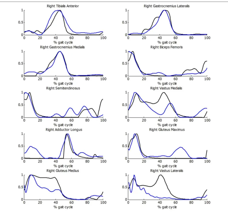 FIGURE 5 | Comparison of normalized muscle activations (black) and normalized EMG measurements (blue) during gait for healthy subject.