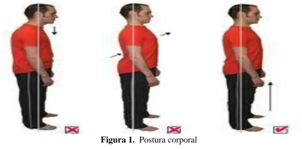 Figura 1.  Postura corporal 