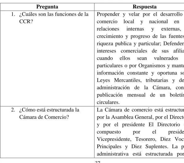 Tabla 1: Resumen Entrevista Directora General 