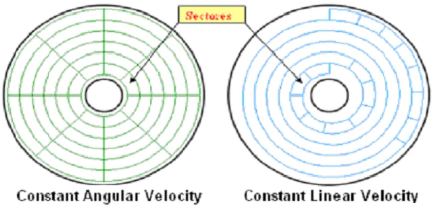 Fig. 1.19: Tipos de rotación. 