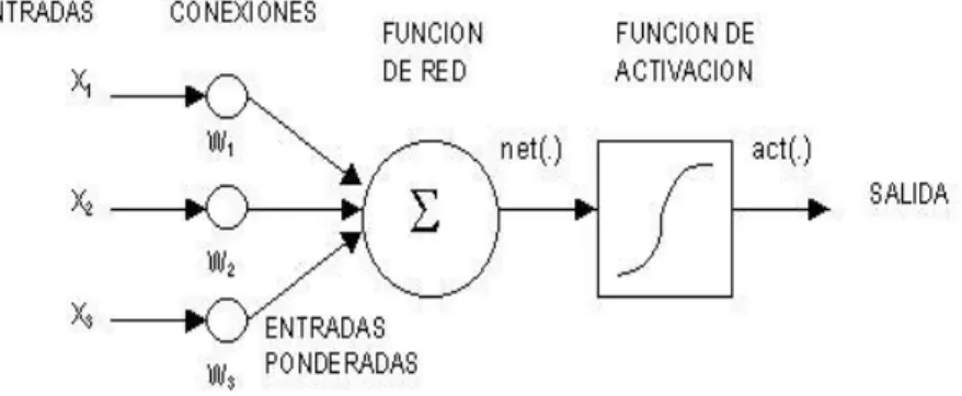 Fig. 4. Modelo de una RNA 