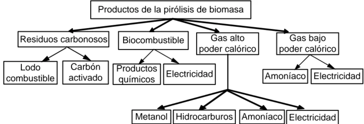 Fig. 2. Fraccionamiento de los productos de la pirólisis de biomasa. Fuente: Ref. [21] 
