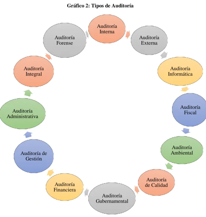 Gráfico 2: Tipos de Auditoría 