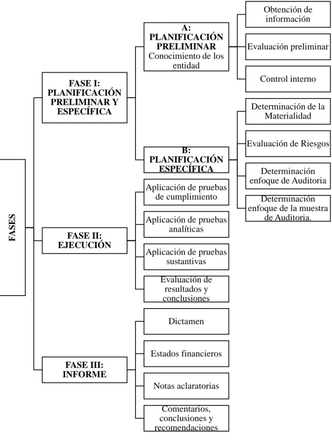 Gráfico 4: Fases de la Auditoría Integral 