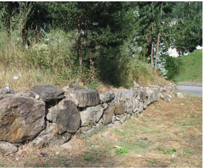 Fig. 6. Blocos de granito ilustrativos de processos geológicos. b) blocos com evidências de paredes de diaclases.