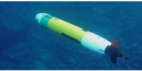 Figura 1.3: AUV Remus.