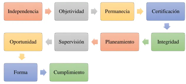 Gráfico 9: Principios de Auditoría Integral 