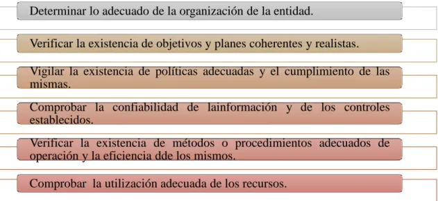 Gráfico 10: Objetivos de Auditoría de Gestión 