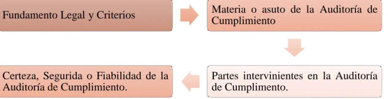 Gráfico 12: Elementos de la Auditoría de Cumplimiento 
