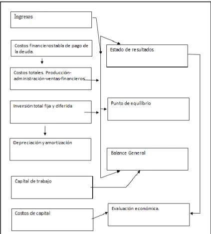 Ilustración 5: Estructura General Análisis Económico 
