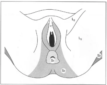 Fig. 12. Dermatomas de S3 y S4 