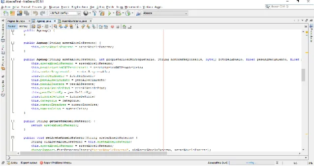 Figura 40: Clase Agenap.java 