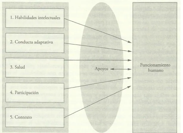 Figura 2: Marco conceptual del funcionamiento humano. (AAIDD, 2011) 