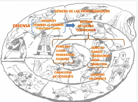 Figura 2. Esquema para explicar el desarrollo de las A.M.
