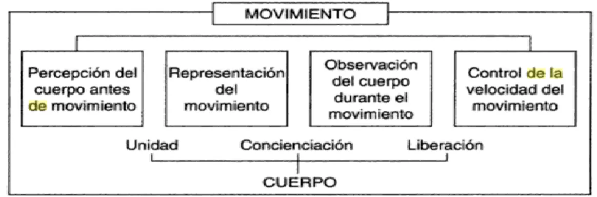 Figura 1. El movimiento. (Tomada de, Da Fonseca, 2000, p.390). 