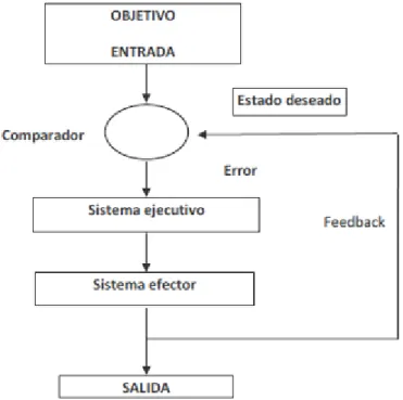 Figura 8. Control en open loop de Schmidt, 1991. (Tomada de Ramón et al, 2013,  p.66) 